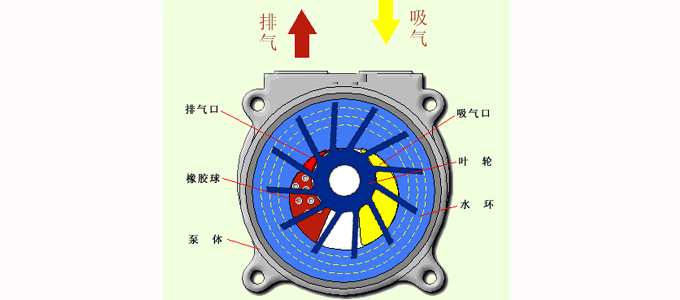 液環真空泵原理圖